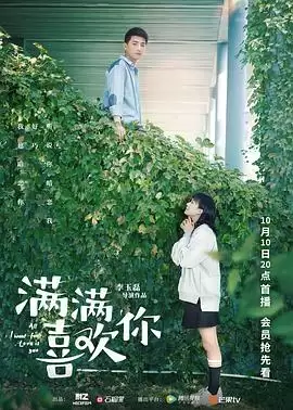 电视剧《满满喜欢你》剧情介绍