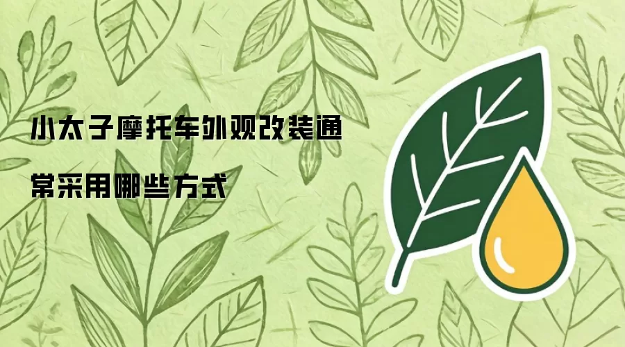 小太子摩托车外观改装通常采用哪些方式
