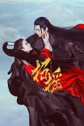 电视剧《招摇》剧情介绍