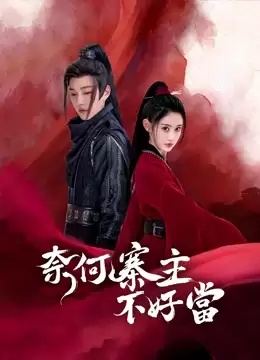 电视剧《奈何寨主不好当》剧情介绍