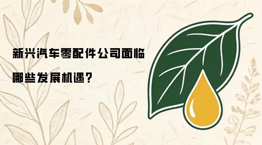 新兴汽车零配件公司面临哪些发展机遇?