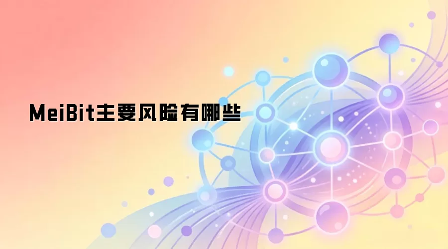 MeiBit主要风险有哪些