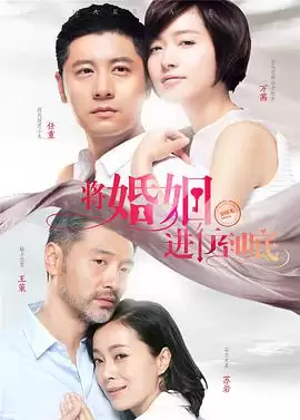 电视剧《将婚姻进行到底》剧情介绍