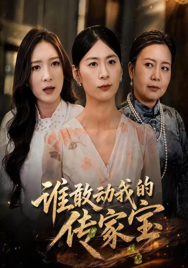 短剧《谁敢动我的传家宝》剧情介绍
