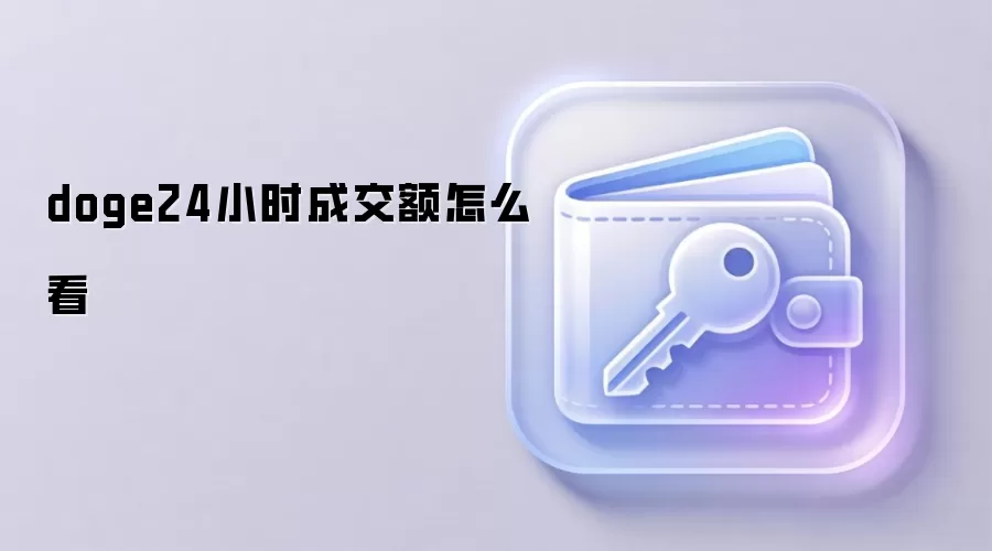 doge24小时成交额怎么看