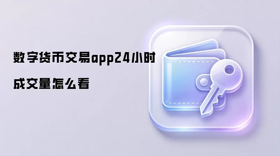 数字货币交易app24小时成交量怎么看