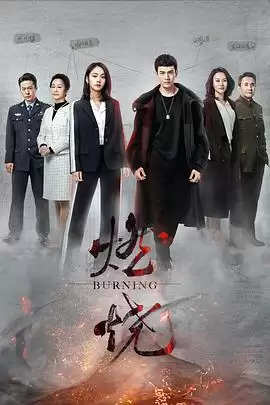 电视剧《燃烧2020》剧情介绍