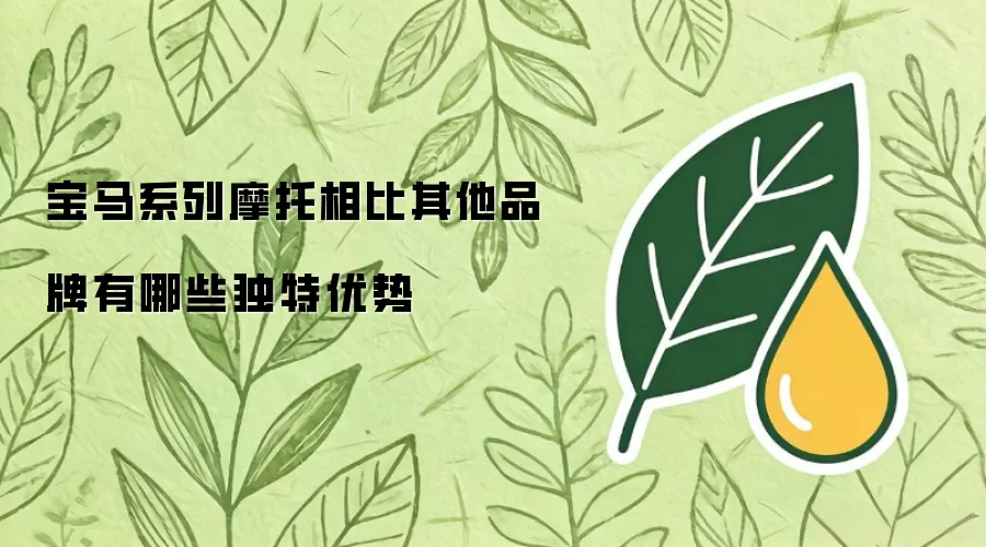 宝马系列摩托相比其他品牌有哪些独特优势