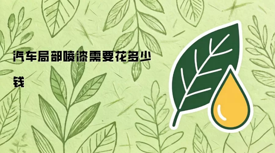 汽车局部喷漆需要花多少钱