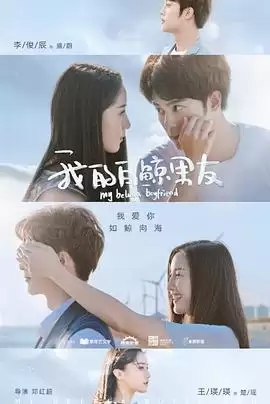 电视剧《我的白鲸男友第二季》剧情介绍