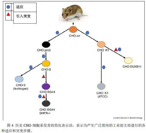 海水密度主要受哪些因素影响