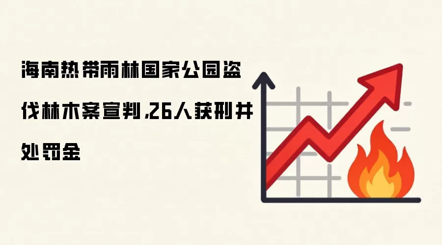 海南热带雨林国家公园盗伐林木案宣判,26人获刑并处罚金