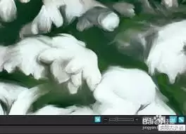 ACDSee如何设置预览窗口大小