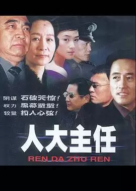 电视剧《人大主任》剧情介绍