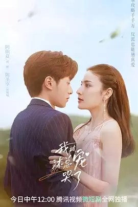 电视剧《我被沐总宠哭了》剧情介绍