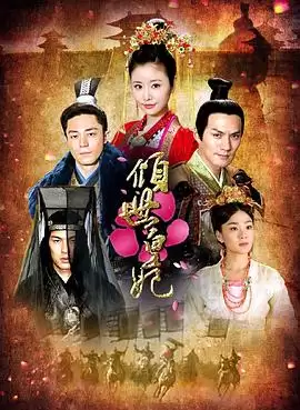 电视剧《倾世皇妃》剧情介绍