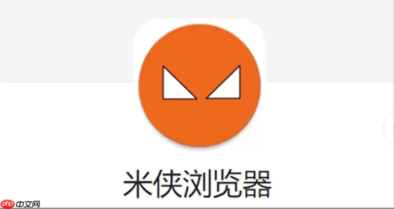 米侠浏览器如何导出自定义的拦截规则列表？
