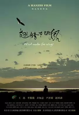 电影《翅膀下的风》剧情介绍