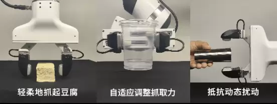 橡木果发布“本能驱动”技术路线，为机器人赋予“具身本能”
