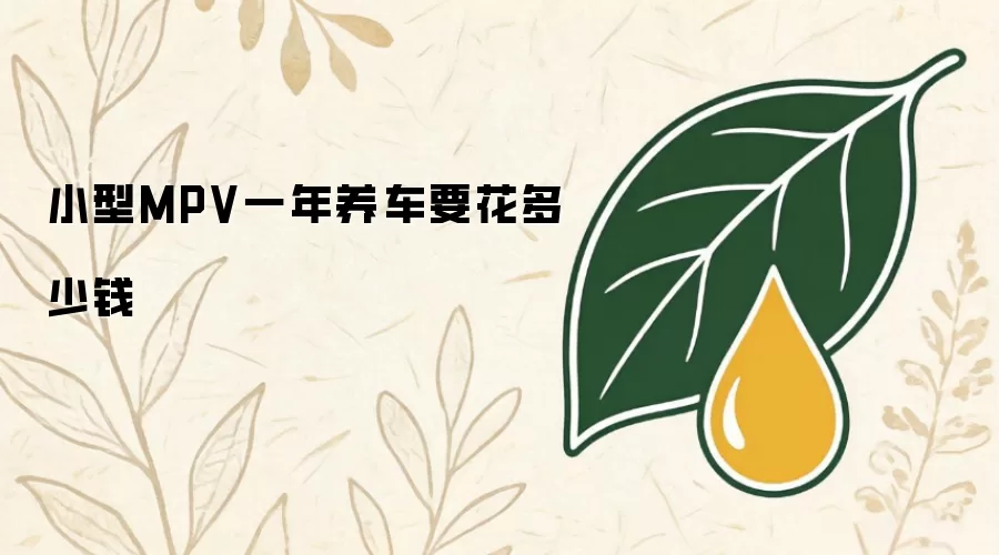 小型MPV一年养车要花多少钱
