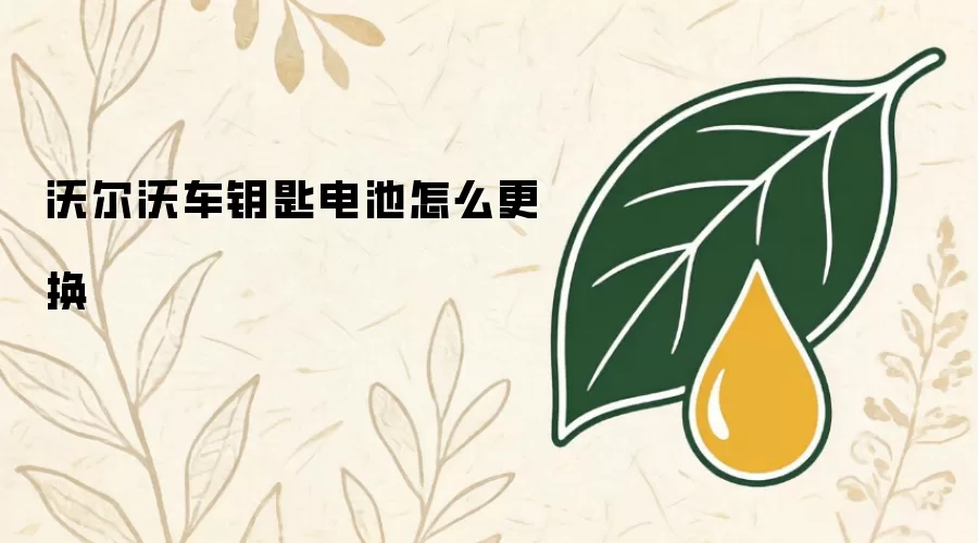 沃尔沃车钥匙电池怎么更换