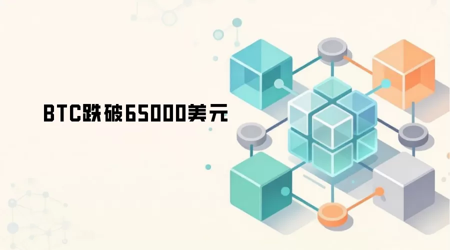 BTC跌破65000美元
