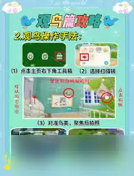 心动小镇观鸟游戏怎么玩