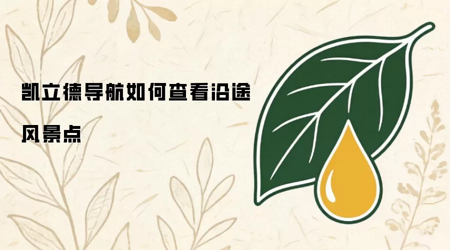 凯立德导航如何查看沿途风景点