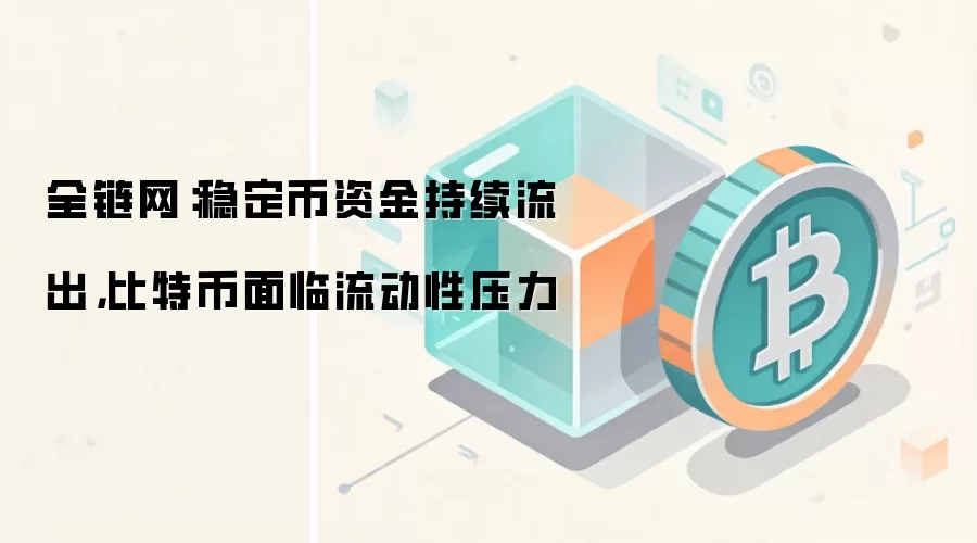 稳定币资金持续流出，比特币面临流动性压力
