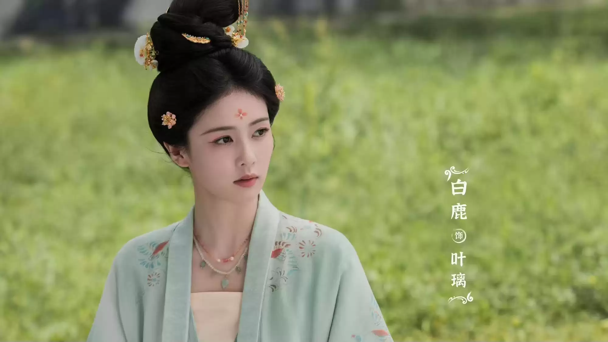 电视剧《莫离》今日开播，白鹿 丞磊领衔主演，能成古装黑马吗？