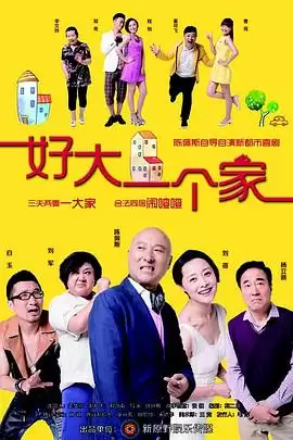 电视剧《好大一个家》剧情介绍
