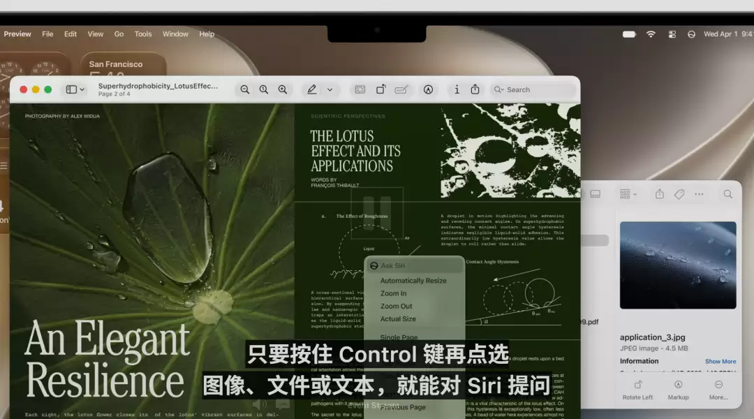 库克深情告别！Siri换脑重生，AI撑起苹果WWDC，中国市场：再等等