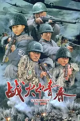 电视剧《战火中青春》剧情介绍