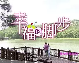 电视剧《幸福的脚步》剧情介绍