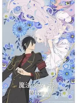 动漫《魔法少女与恶曾是敌人。》剧情介绍