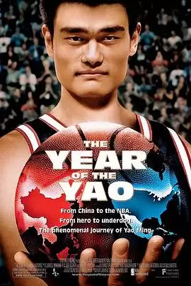 电影《姚明年》剧情介绍
