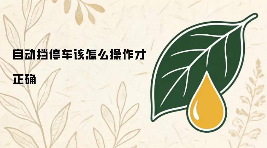 自动挡停车该怎么操作才正确