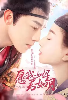 电视剧《愿我如星君如月》剧情介绍