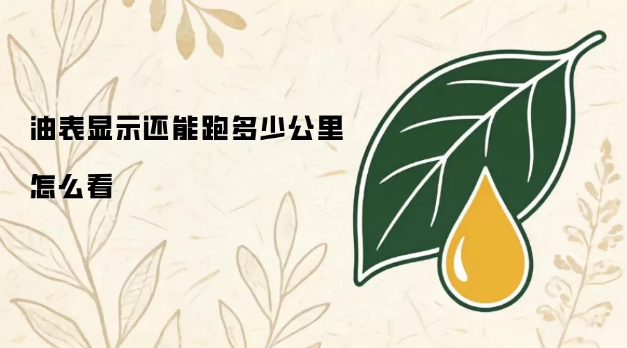 油表显示还能跑多少公里怎么看