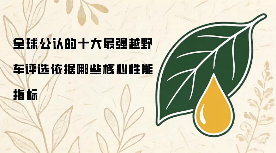 全球公认的十大最强越野车评选依据哪些核心性能指标