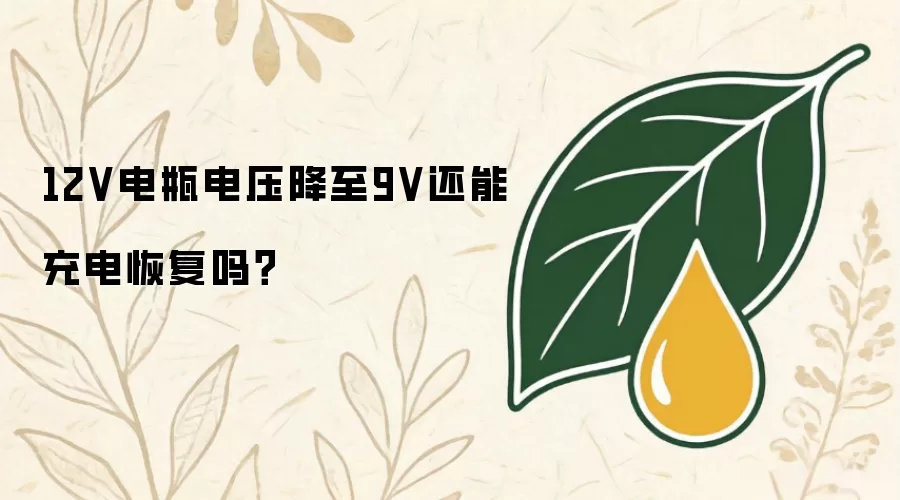 12V电瓶电压降至9V还能充电恢复吗？