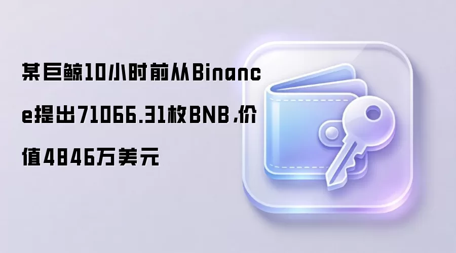 某巨鲸10小时前从Binance提出71066.31枚BNB,价值4846万美元