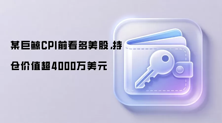 某巨鲸CPI前看多美股，持仓价值超4000万美元