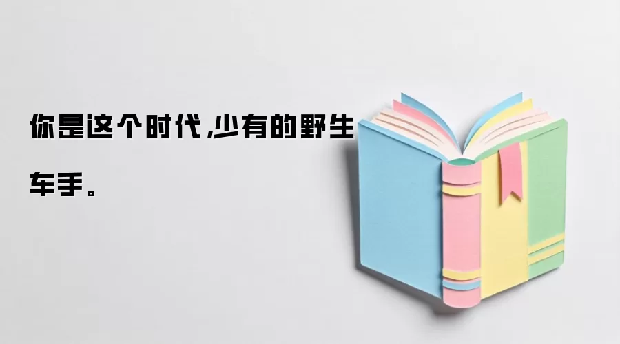 你是这个时代,少有的野生车手。