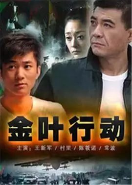 电视剧《金叶行动》剧情介绍