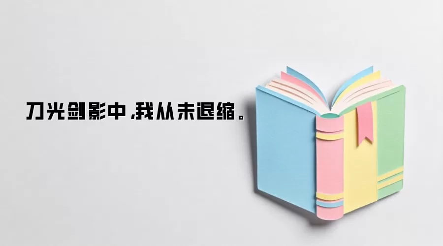 刀光剑影中，我从未退缩。