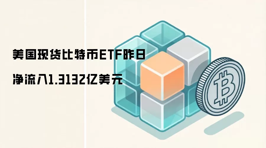 美国现货比特币ETF昨日净流入1.3132亿美元