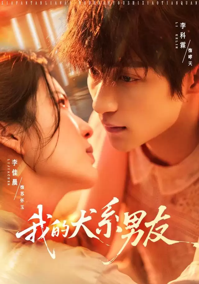 短剧《我的犬系男友》剧情介绍