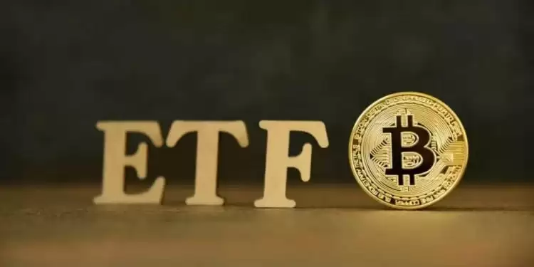 omni是什么wallet