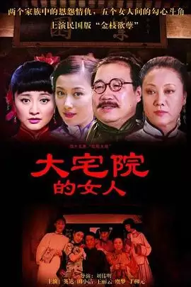 电视剧《大宅院的女人》剧情介绍